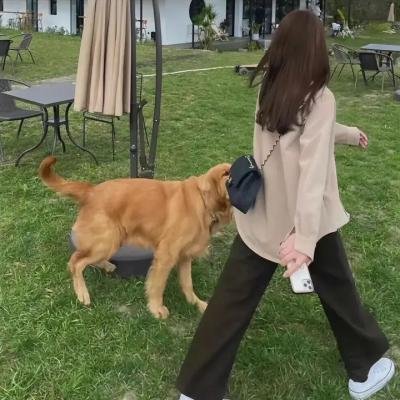 我生如是继续